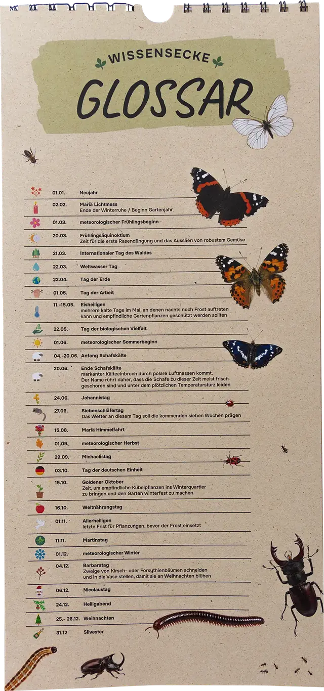 Glossarseite „Wissensecke“ mit Gartentagen im Jahreslauf und Insekten