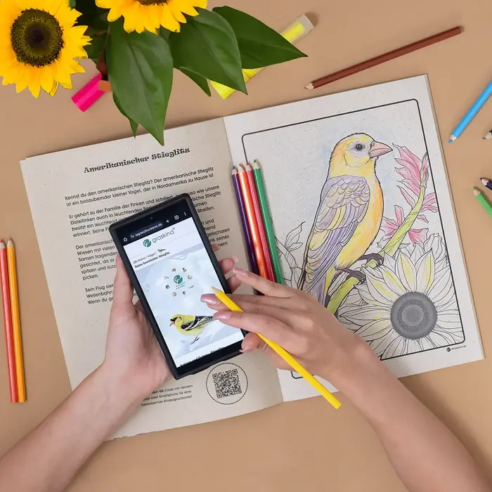 Aufgeschlagenes Vogel-Malbuch: links ein Text zum Amerikanischen Stieglitz mit QR-Code, rechts das teilweise ausgemalte Motiv. Eine Hand hält ein Smartphone mit der passenden Geschichte, die andere einen Buntstift.