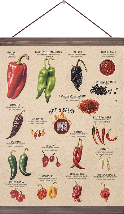 Chili-Poster „Hot & Spicy“ mit illustrierten Chilisorten an einer Holzleiste