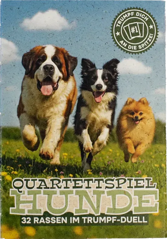 Schachtel des Quartettspiel Hunde
