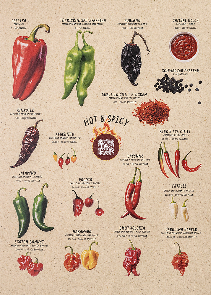 Poster Chili QR-Rezepte