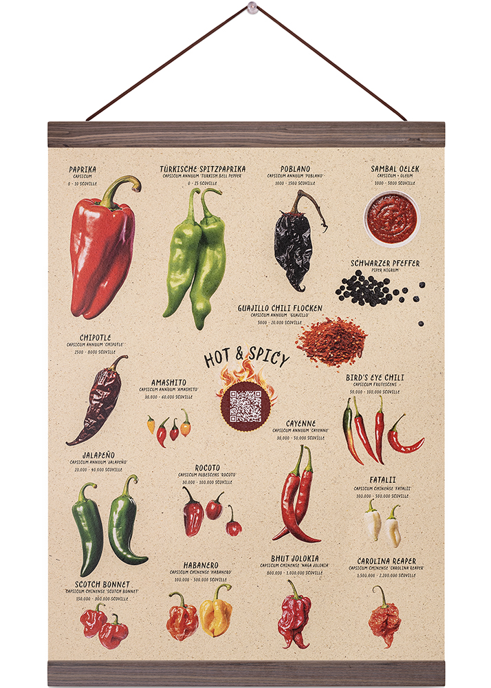 Poster Chili QR-Rezepte mit Posterleiste