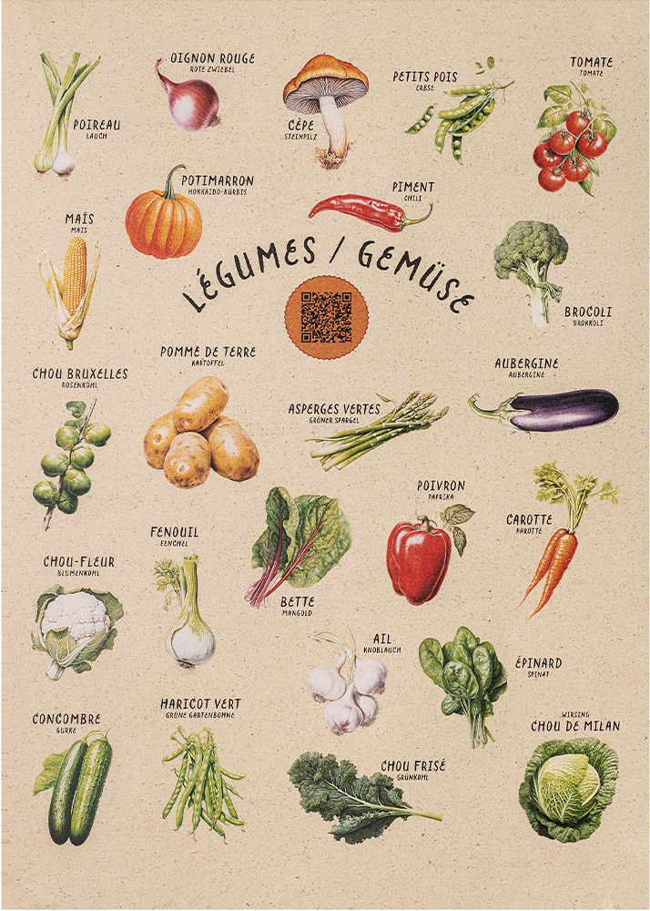Poster Gemüse QR-Rezepte