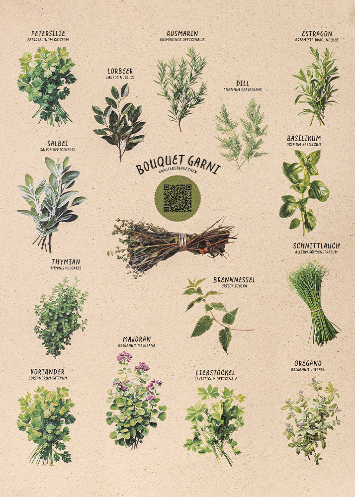 Poster Kräuter Bouquet Garni QR-Rezepte