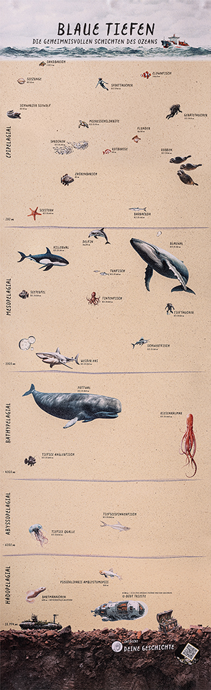 Ozean Entdecker QR-Poster